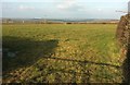 Field near West Venton