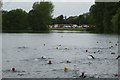 SE2597 : Swimmers in the lake by DS Pugh