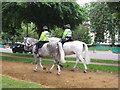 TQ2779 : Police horses exercising in Hyde Park by David Hawgood