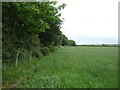 Farmland and hedgerow