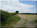 Grassland and hedgerow