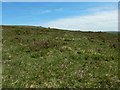 Browngelly Summit with view of a Cairn