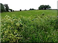 Drumlegagh Townland