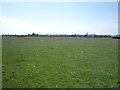 Grazing, Silloth