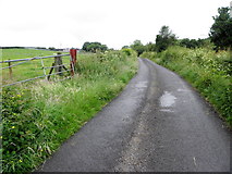 H3379 : Lough Road by Kenneth  Allen