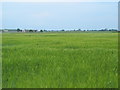 Arable farmland north of Far Parks Plantation (4)