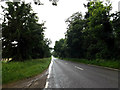 TL9182 : A1066 Thetford Road, Rushford by Geographer