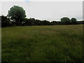 NY1338 : Grass fields at Eweclose farm by Graham Robson