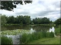 SJ8543 : Fishing pond near Clayton by Jonathan Hutchins