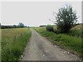 NY1338 : Track north of Eweclose farm by Graham Robson