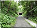 The Eastern portal of Earlsheaton tunnel on the Ossett to Dewsbury greenway