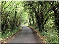 Tibbs Court Lane, Brenchley