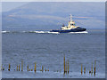 NS3374 : Svitzer Milford on the Clyde by Thomas Nugent