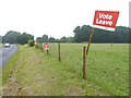 "Vote leave" times three on Janes Lane