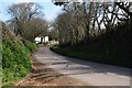 Country road entering Frithelstock