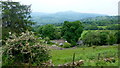 Steep hillside above the Usk