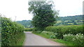 Lane at Llanwenarth