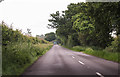 B1145 road near Pightle Farm