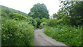 Road to Triley Court and The Deri