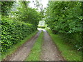 The drive going westwards from Wellhouse Farm