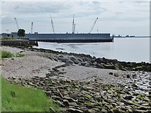 TA1128 : Alexandra Dock, Kingston upon Hull by Bernard Sharp