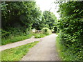 Public footpath with converging track