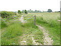 Footpath goes east towards Ockley Lane