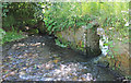 Weir at Waterhouse Lane