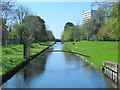 The New River north of Hoe Lane (5)