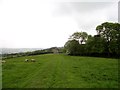 Looking along towards Towdy Potts