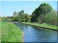 The New River south of Turkey Brook (2)