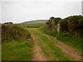 Farm Track near Chycandra