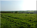 Field near Higher Kerris Farm