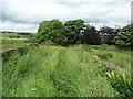 Bridleway from Blue Ball Road approaching Merry Bent Lane, Soyland