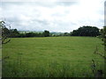 Grazing near Highridgehall