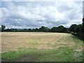 Field near Dub Cottage