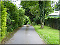 Private road, public footpath, Virginia Water