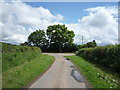 Sharp bend in National Cycle Route 1