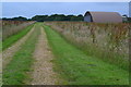 SZ3496 : Track and hangar at former RAF Lymington by David Martin