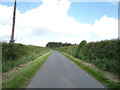 National Cycle Route 1 near Homebank