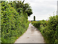 Lavender Street (Track towards Harper Fold)