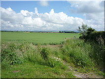 NT8344 : Crop field near Butterlaw by JThomas