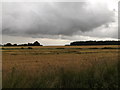 Farmland off the A14 at Elmswell