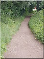 Footpath - Ninelands Lane