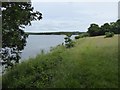 Path beside Goodacre inlet of Roadford Lake