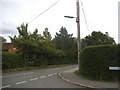 Ridgley Road at the junction of Coxcomb Lane