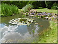 Pond in Doddington Place Gardens