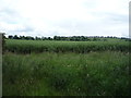 Farmland near Newtonlees