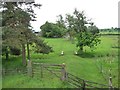 Public footpath to Eden Vale and Sandford