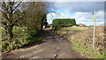 Track and footpath to Bisley